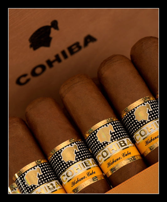 Cohiba Robusto
